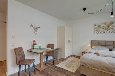 Helles Apartment - Neubau 2019